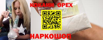 стафф Кандалакша