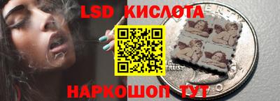 стафф Кандалакша