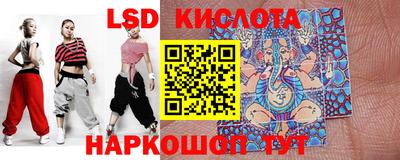 стафф Кандалакша
