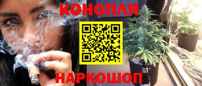 ГАЛЛЮЦИНОГЕННЫЕ ГРИБЫ Канаш